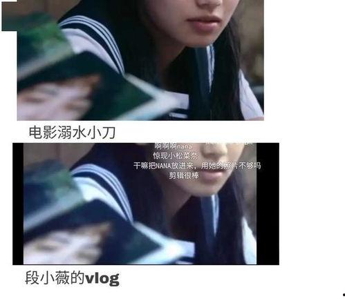 吃瓜小说娱乐圈完结文,瓜田里的甜蜜复仇